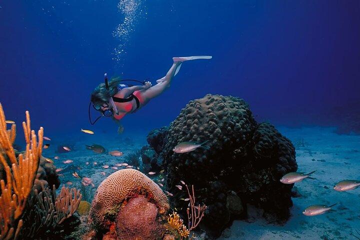 3 Fun Dives in Racha Yai and Racha Noi for Certified Divers