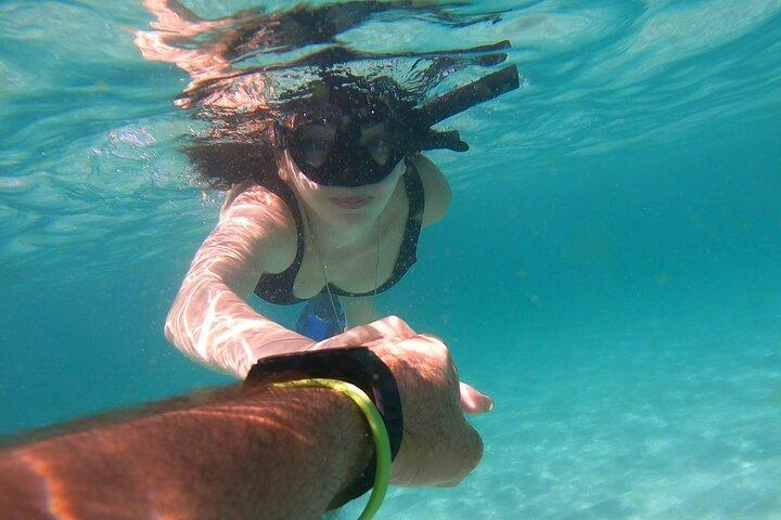 Daymaniyat Islands Snorkeling from Muscat – Marine Reserve