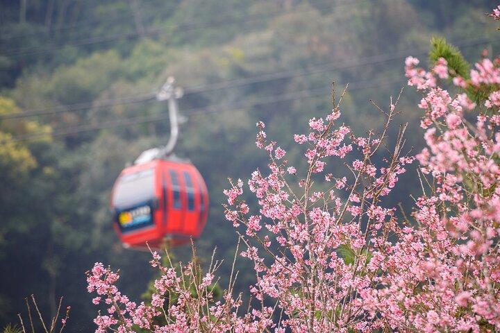 Private 1 Day Sun Moon Lake Escape Tour from Taipei