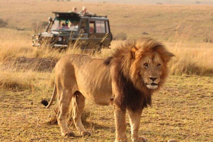 8 Day Safari Tour of Kenya and Tanzania from Nairobi