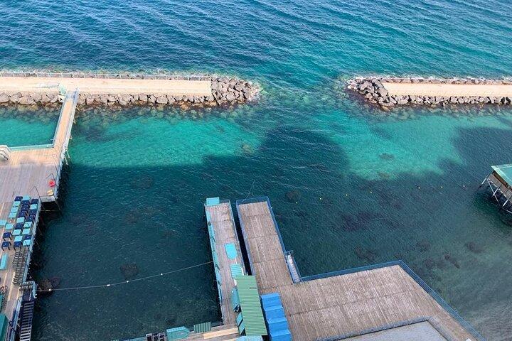 3 Hour Walking Tour of Sorrento with Local Food Tasting