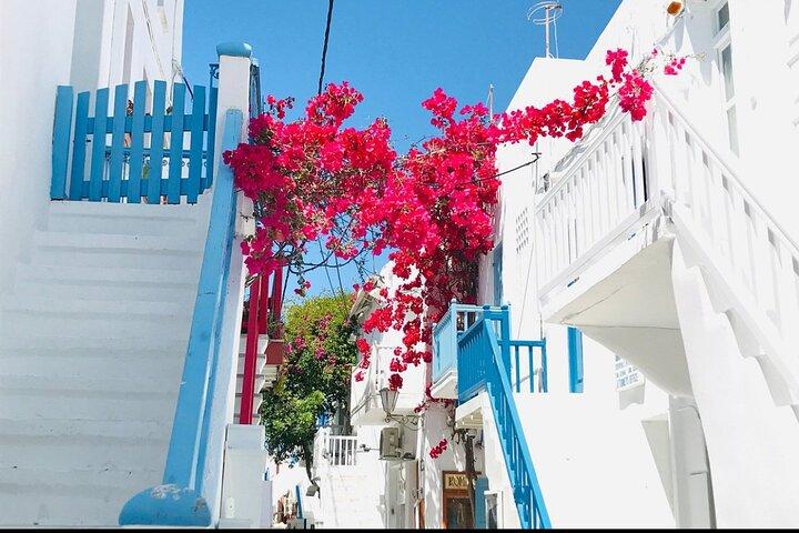 Private Tour: All The Highlights Of Mykonos You Have To See