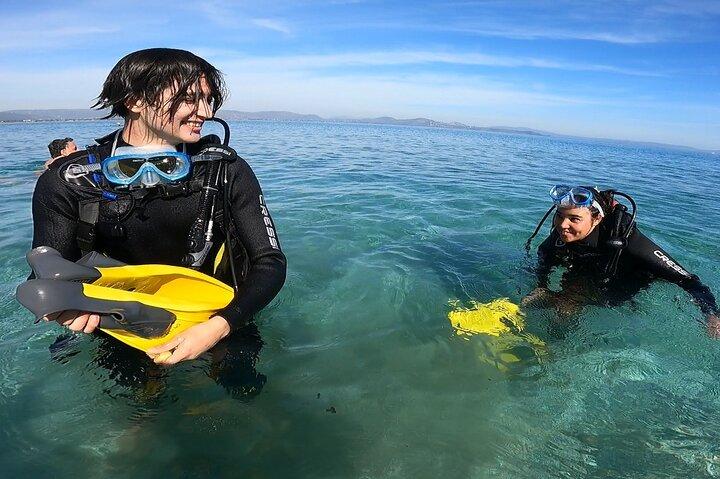 Discover Small Group Scuba Diving Experience in Nea Makri, Athens