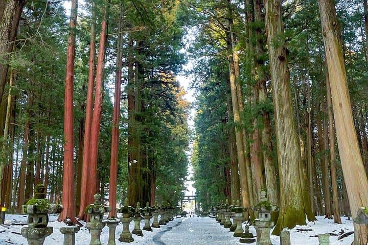 From Tokyo to Mount Fuji! Private Car Tour by Eng Speaking Driver