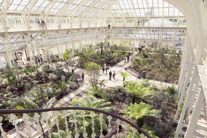 Visit Kew Gardens & Private 3 Hour Westminster Walking Tour