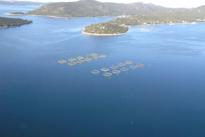 Boat trip from Biograd na Moru to Kornati National Park