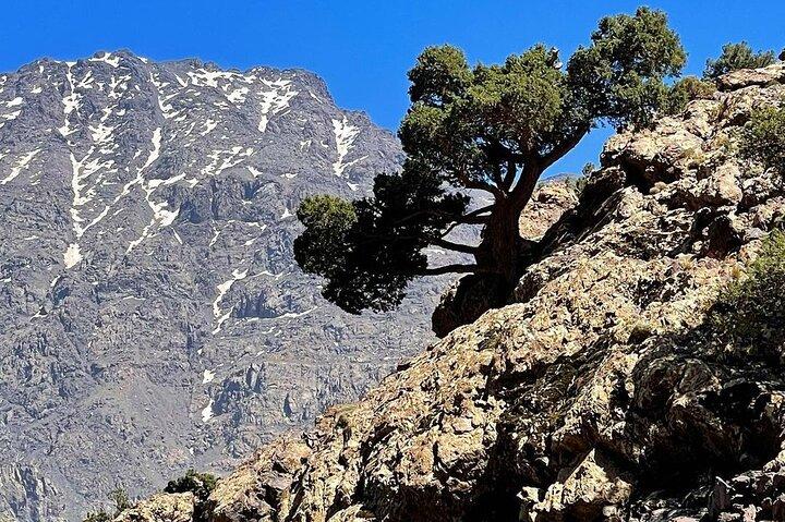 Summiting the Beautiful Atlas Mountains, Day Hike & Trek