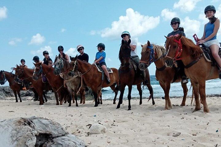 Aruba Ecological & Coastline Horseback Ride with Beach Photo Stop