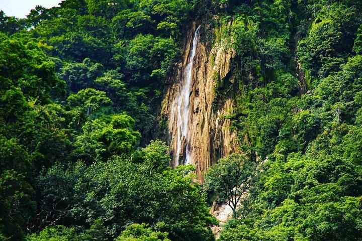 Rishikesh Full-Day Private Sightseeing Tour by Car