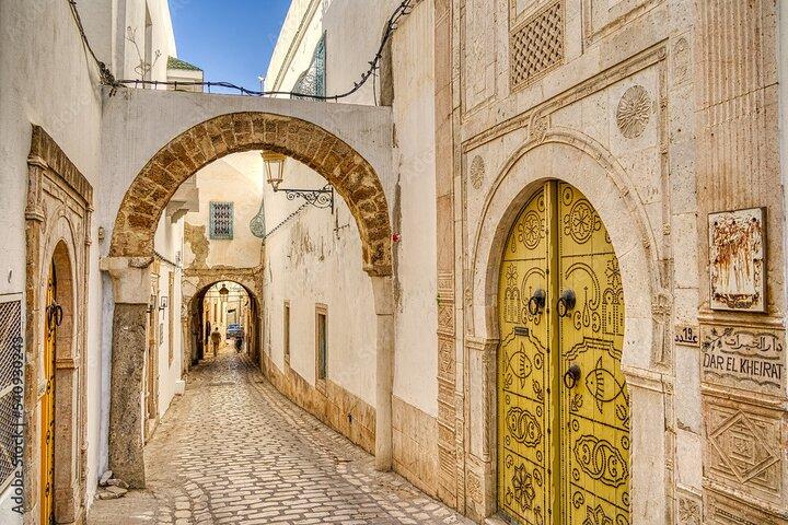 Bardo Museum with Medina, Carthage and Sidi Bou Private Tour