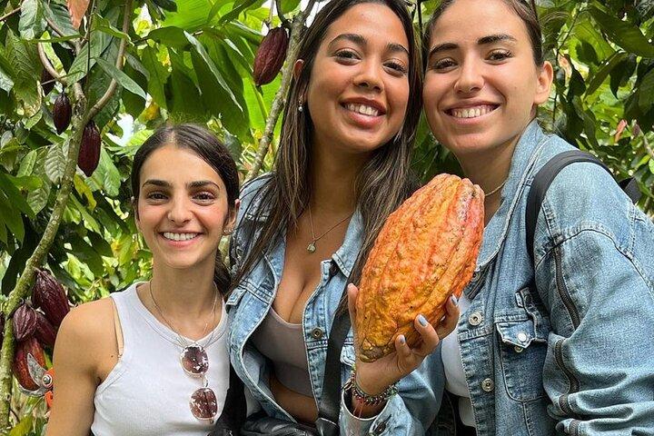 Cocoa and Santa Rosa Hot Springs Tour from Pereira or Armenia