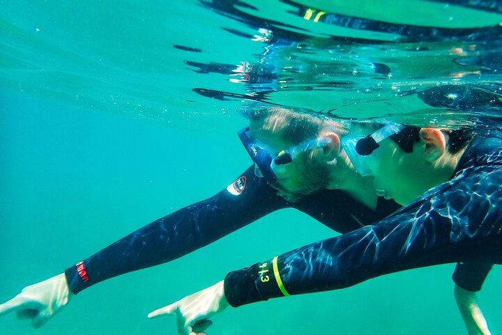 Visit Secret Caves, Hidden Beaches and Snorkel in Alvor, Portugal