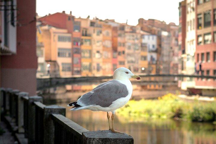 Medieval Girona & Costa Brava’s Top Beach–Unforgettable Day Trip