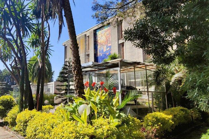 A Guided Tour of Addis Ababa That Includes a City Viewpoint