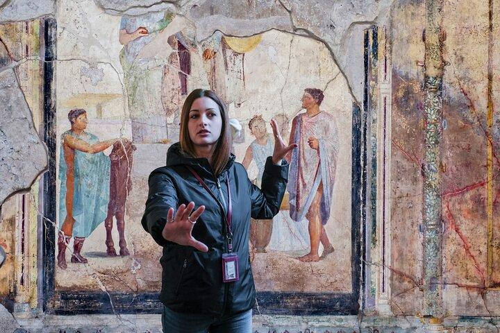 From Rome: Pompeii & Amalfi Coast Private Tour with Driver