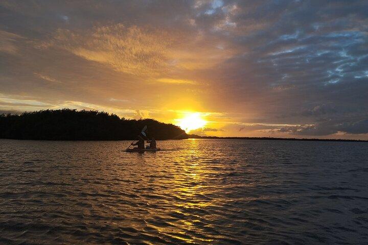 Kayak Tour of Nichupte Cancun Lagoon