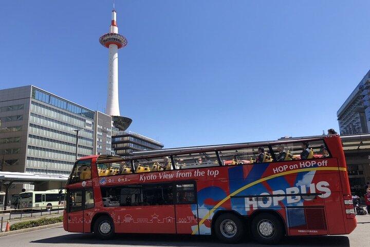 Tokyo Sky Hop Bus Day Pass (unlimited rides)