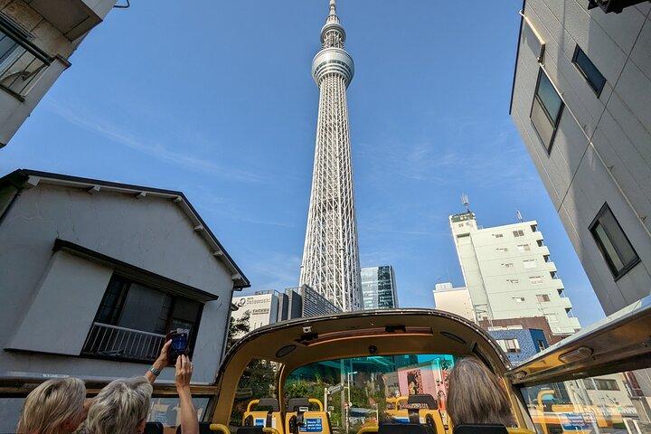 Tokyo Sky Hop Bus Day Pass (unlimited rides)