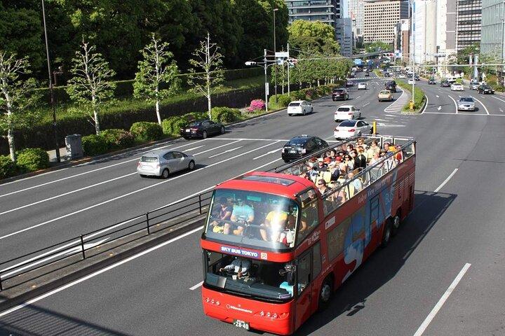 Tokyo Sky Hop Bus Day Pass (unlimited rides)