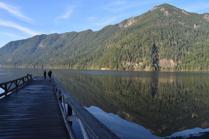 Half Day Guided Tour of Olympic National Park