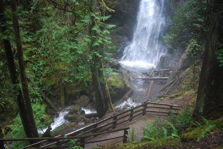 Half Day Guided Tour of Olympic National Park