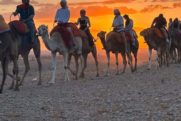 Marrakech Agafay Desert Sunset Dinner Show & Hotel Transfer