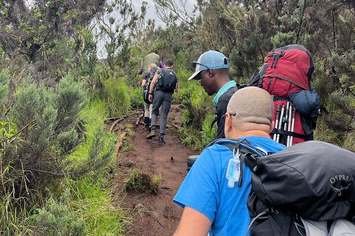 6 Days Kilimanjaro Climbing Marangu Route
