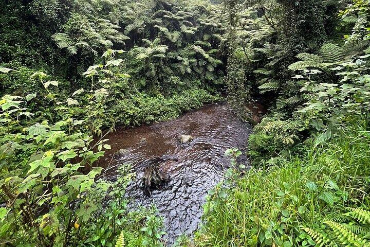Nairobi Horseback Experience at Karura Forest