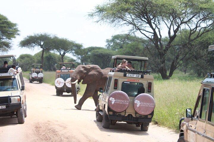 5 Day Mid range Tanzania Safari