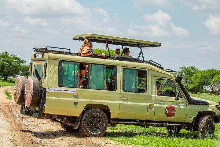 5-Day Fly-in from Zanzibar to Serengeti National Park