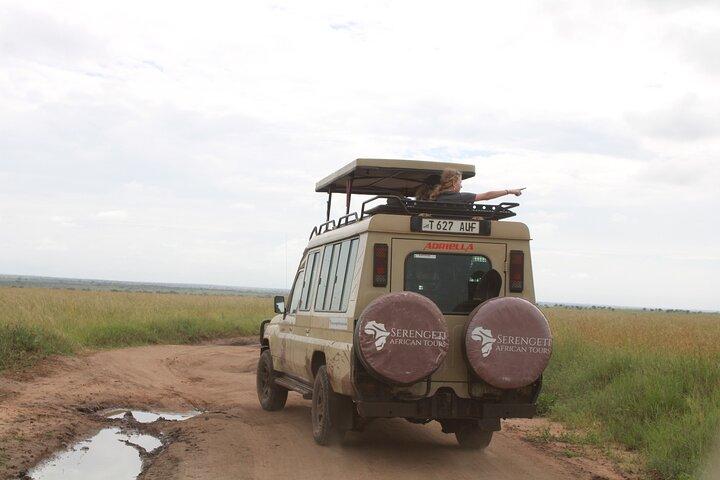 2 Day Tanzania Luxury Safari