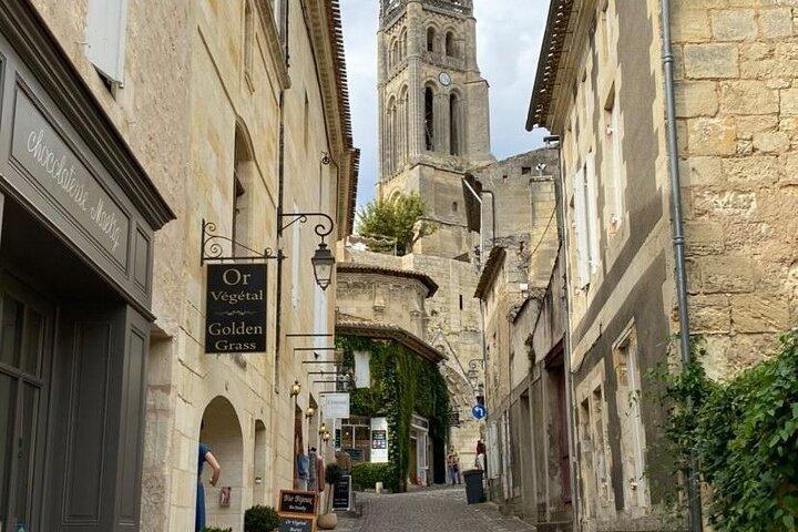 Bordeaux Full Day Wine Tour - 3 Wineries & Gourmet Picnic Lunch