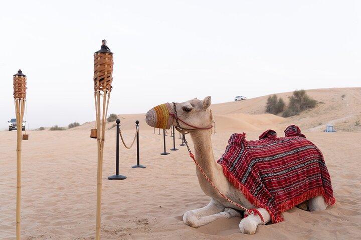 Morning Desert Safari in Dubai with Camel Ride & Sand Boarding