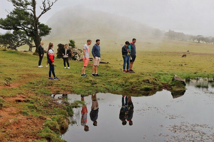 Madeira West Porto Moniz pools - Enchanted Terraces Fanal Unesco