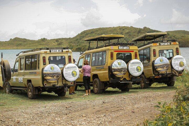 6 Days Serengeti Big Five Mid-Range Lodge Safari in Tanzania