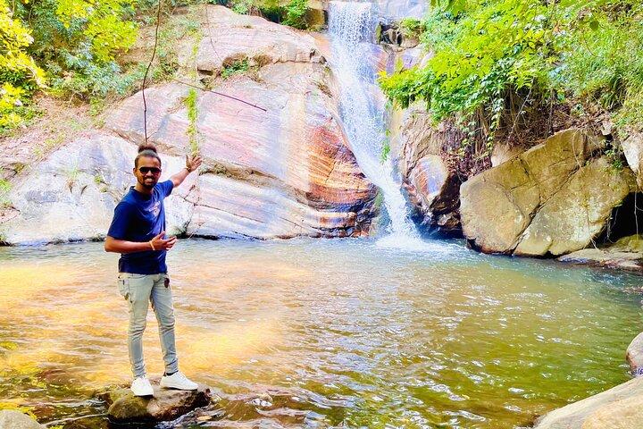 Ella Day Trip with Train Ride Waterfalls and Tea Factory Tour