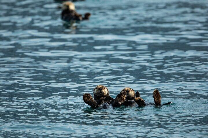 Kenai Fjords National Park Glacier Dinner Cruise from Seward