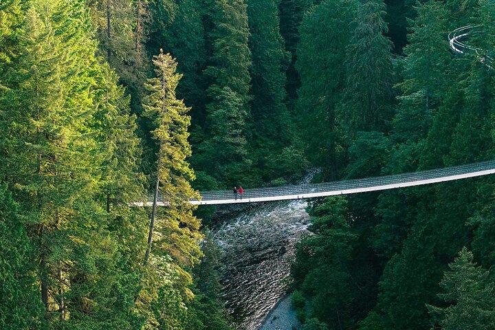 Capilano Suspension Bridge Park Ticket