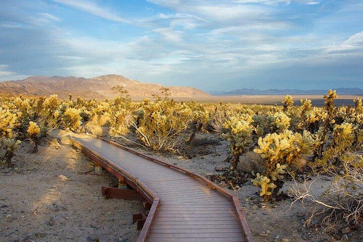 Journey into Joshua Tree On-Demand Audio Tour and Locals Guide