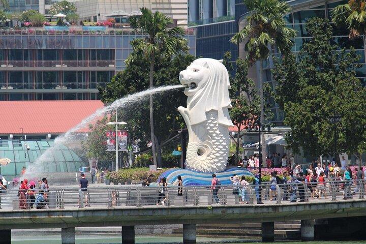Private Singapore Sightseeing Tour with Singapore River Cruise