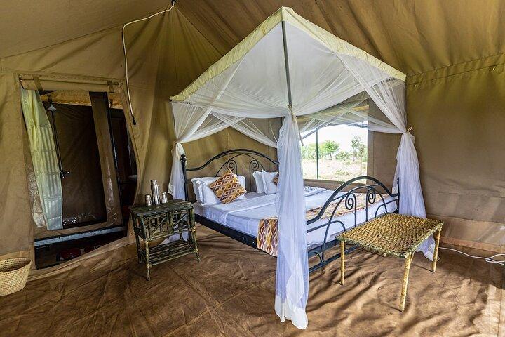 5 Days Northern Tanzania Group Safari (Departs every Friday)