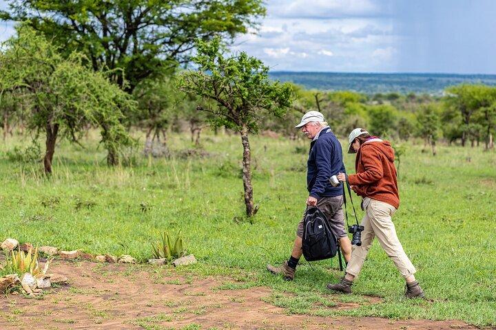 5 Days Northern Tanzania Group Safari (Departs every Friday)