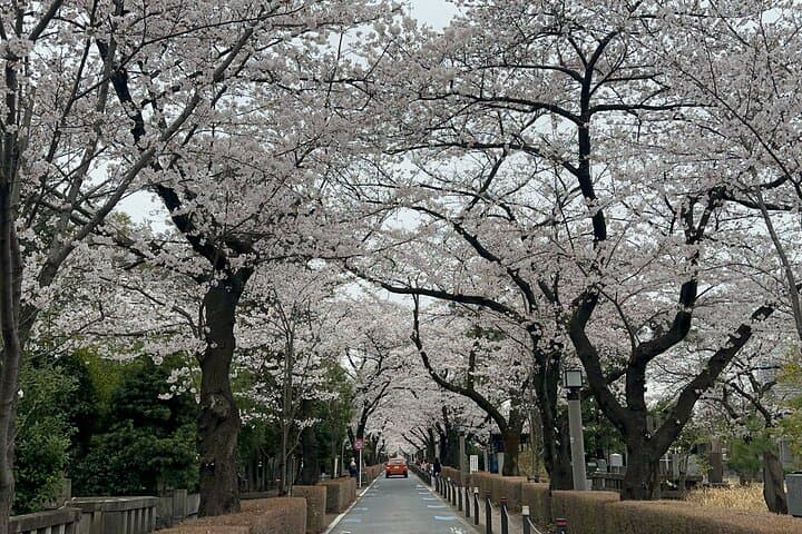Private Tokyo Tour with Japanese Local Guide