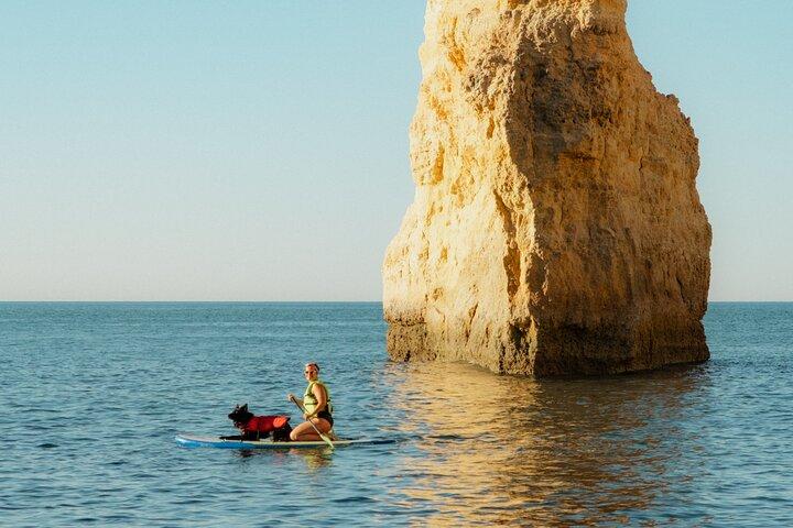 Small Group Paddleboard Tour to the Benagil Cave with 4K Photos
