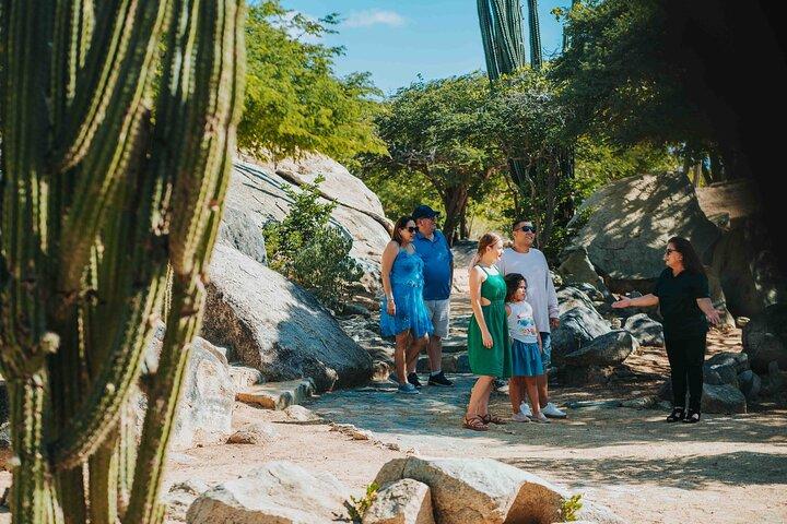 Full-Day Aruba History and Must-See Landmarks Tour