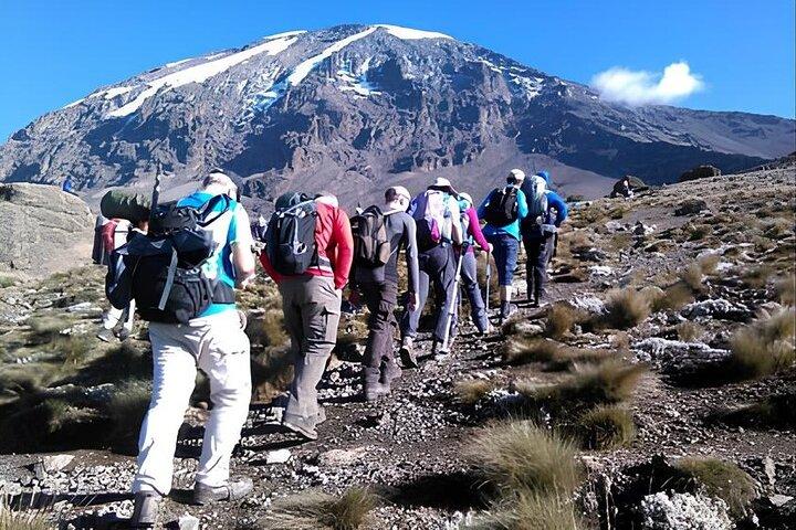 Lemosho Route 8 Days Highlights