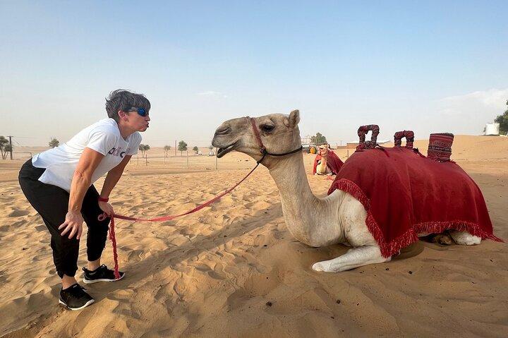 Abu Dhabi Desert Safari: Activities, Live Shows & VIP Area Dining