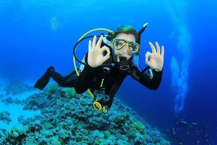 Antalya / Kemer : Scuba Diving For Beginners w/ Lunch & Transfer