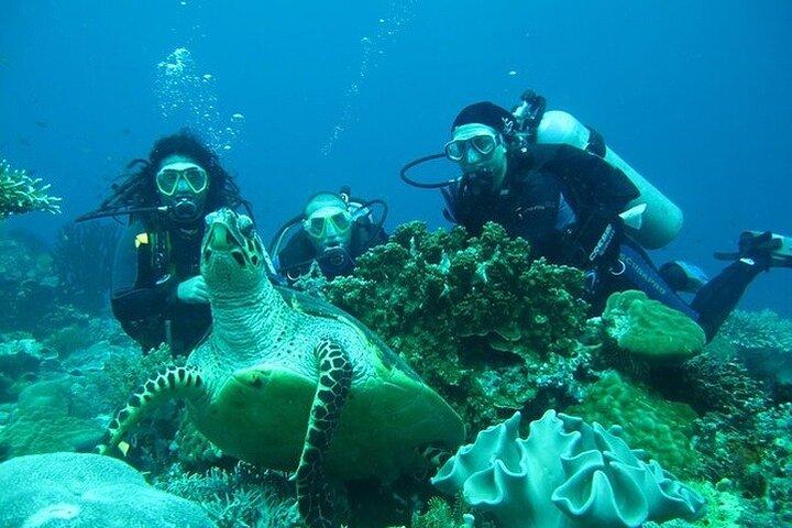 Antalya / Kemer : Scuba Diving For Beginners w/ Lunch & Transfer