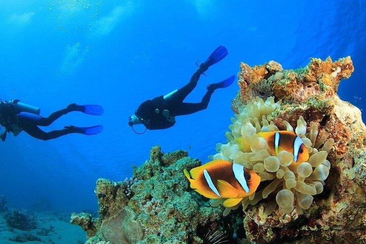 Antalya / Kemer : Scuba Diving For Beginners w/ Lunch & Transfer